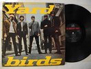 YARDBIRDS same s/t street cover LP 1967 Sweden HMV SGLP 531 rare