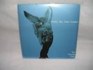 Sunny Day Real Estate 