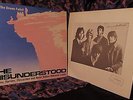 RARE & MINT 1966 UK PSYCH Garage THE MISUNDERSTOOD   The DREAM FADED = HARD ACID