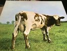 Pink Floyd Atom Heart Mother Quadraphonic LP Q4 SHVL781