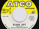 BRIAN AUGER Black Cat MONSTER MOD DANCER orig us 45 JULIE DRISCOLL garage psych