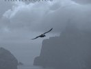 Hirta Songs - Alasdair & Robin Robertson Roberts (2014, Vinyl New)