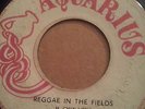 Augustus Pablo Reggae In The Fields AQUARIUS  SKINHEAD REGGAE