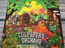 CULPEPER'S ORCHARD SAME POLYDOR  2380 006 GER 71 FOLK WORLD & COUNTRY PROG ROCK