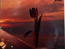 PRETTY THINGS 