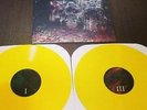 Wildlife * by La Dispute (3rd Pressing Yellow /168) Limited OOP