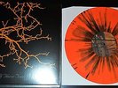 If These Trees Could Talk S/T Tour Press Vinyl LP Mylene Sheath Caspian