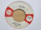 DELROY WILSON Get Ready / ROY RICHARDS Port O Jam UK orig 7