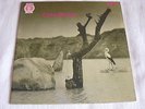 TONTON MACOUTE - SAME   D NEON   LP  RARE FREE SHIPPING