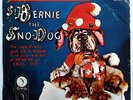 ROGER NICHOLS TRIO 45 St Bernie The Sno-Dog NEAR MINT Children's RARE PROMO s262