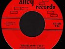 Rare Psych Garage 45 PURPLE CANTEEN Brains In My Feet ALLEY Original Hear