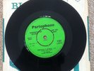 The Hollies Super Rare Demo 45 King Midas In Reverse/Everything Is Sunshine
