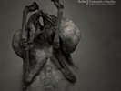 LEPROUS - THE CONGREGATION (2LP) 2 VINYL LP NEW+