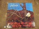 DEADHORSE HORSECORE 1989 LP PANTERA RARE METAL INSERT