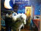 FALL OUT BOY Infinity On High 2-LP SPLATTER Vinyl SEALED