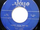 LARKS 45 Honey From The Bee / No Mama No DOO WOP Apollo ORIGINAL bb2233