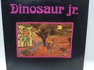 Dinosaur Jr. - Little Fury Things 10
