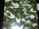 Kate bush singles file 45 box set