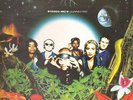 Stereo MCs Connected Island Records / 4th Street Vinyl LP