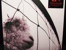 PEARL JAM vs. VINYL LP RECORD Brand New