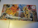 The Flaming Lips - Oh My Gawd   FOC   Vinyl: mint/ Cover:mint(-)