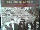 lp vinilo THE BLACK CROWES The Southern Harmony And Musical Companion