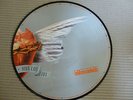 Böhse Onkelz - Viva los Tioz  (1998 ) LP  Picture Disc  mint -  