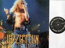 Led Zeppelin - Teady Bear's Picnic LP - new copy - Rock