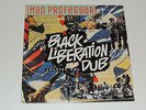 MAD PROFESSOR black professor dub chapter 1 Lp RECORD REGGAE