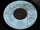 Joe Hockaday   Bump It   Georgetown   Washington DC funk 45 HEAR