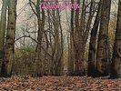 TWINK - Think Pink 180g Pink Vinyl LP + CD including 8 bonus tracks New + sealed