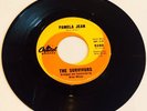 RARE The Survivors-Pamela Jean-RARE 1964 Brian Wilson Surf 45-CLEAN-Beach Boys