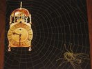 9.30 fly PSYCH PROG PROGRESSIVE PSYCHEDIELIA ROCK RE LP Lim 500 EMBER