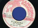 1103 DESMOND YOUNG-WARNING-CAPRICORN RISING-REGGAE 45 7