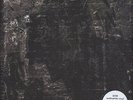 Vijay Iyer Trio - Break Stuff Vinyl 2LP + Digital NEU 0451739 | jason moran