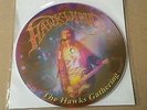 Hawkwind - The Hawks Gathering pic disc 7