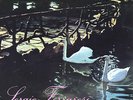 SERGIO FERRARESI - HEAVY ITALIAN PROG FUNK FUZZ & FAT PSYCH BOSSA FUNK Library