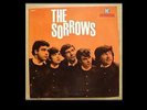 33 giri - THE SORROWS - PYE SPECIAL originale