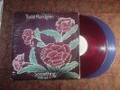 Todd Rundgren red blue promo 2LP Something Anything