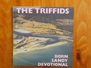 THE TRIFFIDS' SUPER-SCARCE 1986 LP 