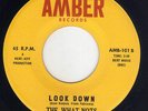 NJ teen Garage The What-Nots AMBER 101 Look down / Nobody else but you MP3