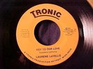 LAURENE LaVALLIS Love Don't Change/Key To Our Love SWEET MODERN SOUL 45 Tronic