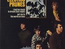 The Electric Prunes- debut album R6248  original mono pressing