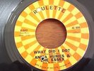 Anita Humes & Essex, What Did I Do, Roulette # 4542, vg+