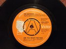 RARE UK DEMO THE BROTHERS - ARE YOU READY FOR THIS - RCA - VICTOR