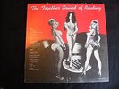 The Together Sound Of Reading 1970 Philadelphia New Jersey Garage Rock Rare LP