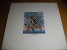 LP Talk Talk Spirit of Eden Rare