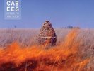 THE MACCABEES-GIVEN TO THE WILD-VINYL LP2 COOPERATIV NEU