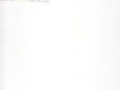 BABES IN TOYLAND 'FONTANELLE' TEST PRESSING HOLE GRUNGE 1992