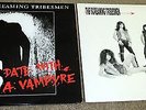 SCREAMING TRIBESMEN 2 x 12” EP TAKE COVER +POSTER RARE SIGNED DATE WITH VAMPIRE